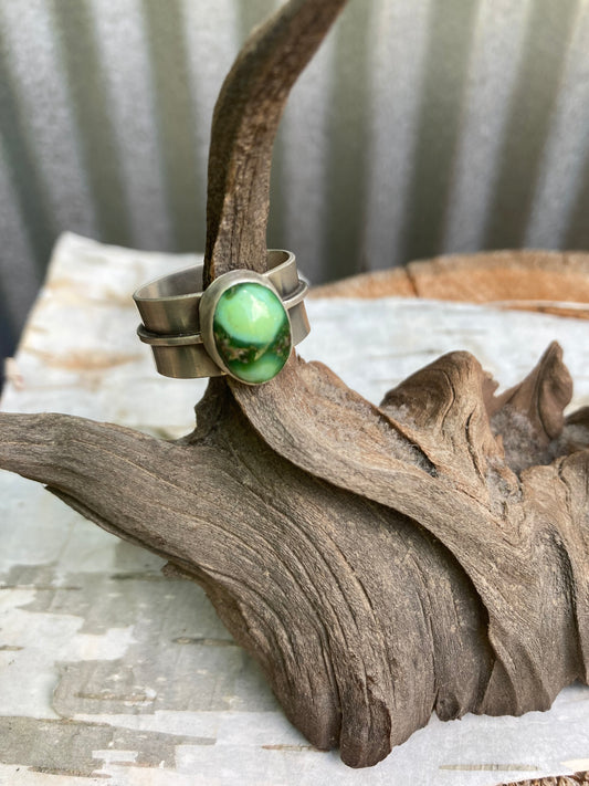 Sonoran Gold Turquoise Ring on Sterling Silver shadow Band