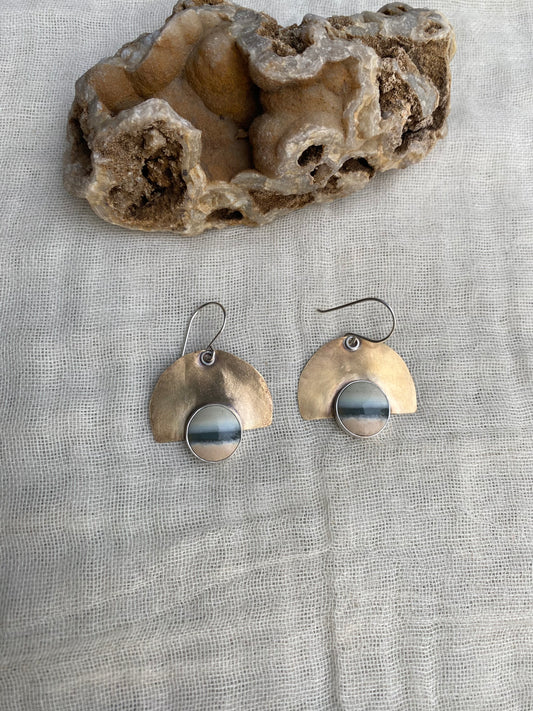 Opal Petrified Wood Earrings